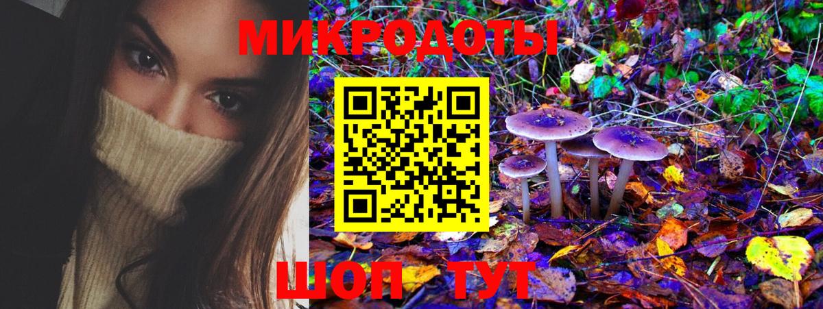 Татарск  Псилоцибиновые грибы ЛСД  Псилоцибиновые грибы мухоморы  Вход с VPN 
